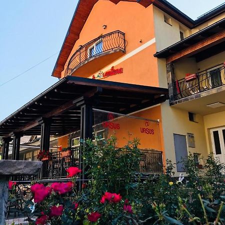 Pensiunea Montana Borsa Mm Băile Borşa 外观 照片
