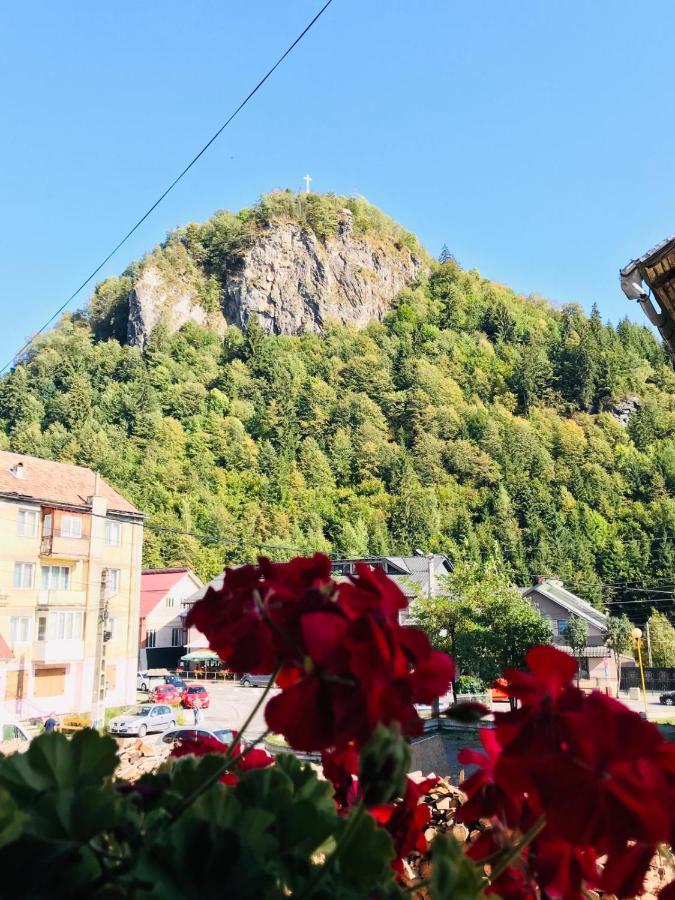 Pensiunea Montana Borsa Mm Băile Borşa 外观 照片