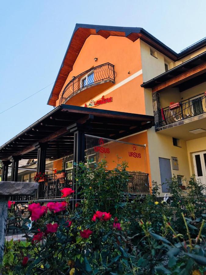 Pensiunea Montana Borsa Mm Băile Borşa 外观 照片